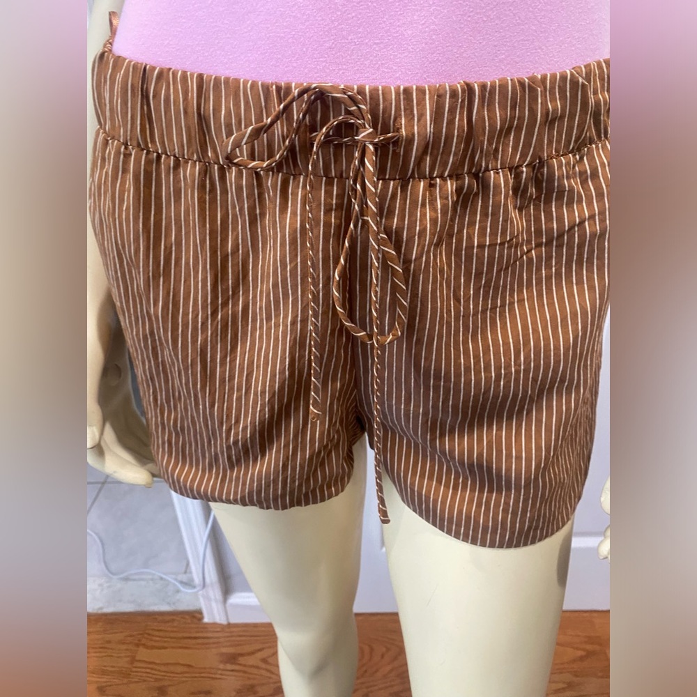 Zara Brown Striped Women's Shorts/ Size XS